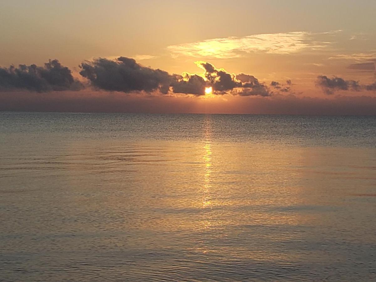 Pal'S On The Beach - Dangriga, Belize מראה חיצוני תמונה