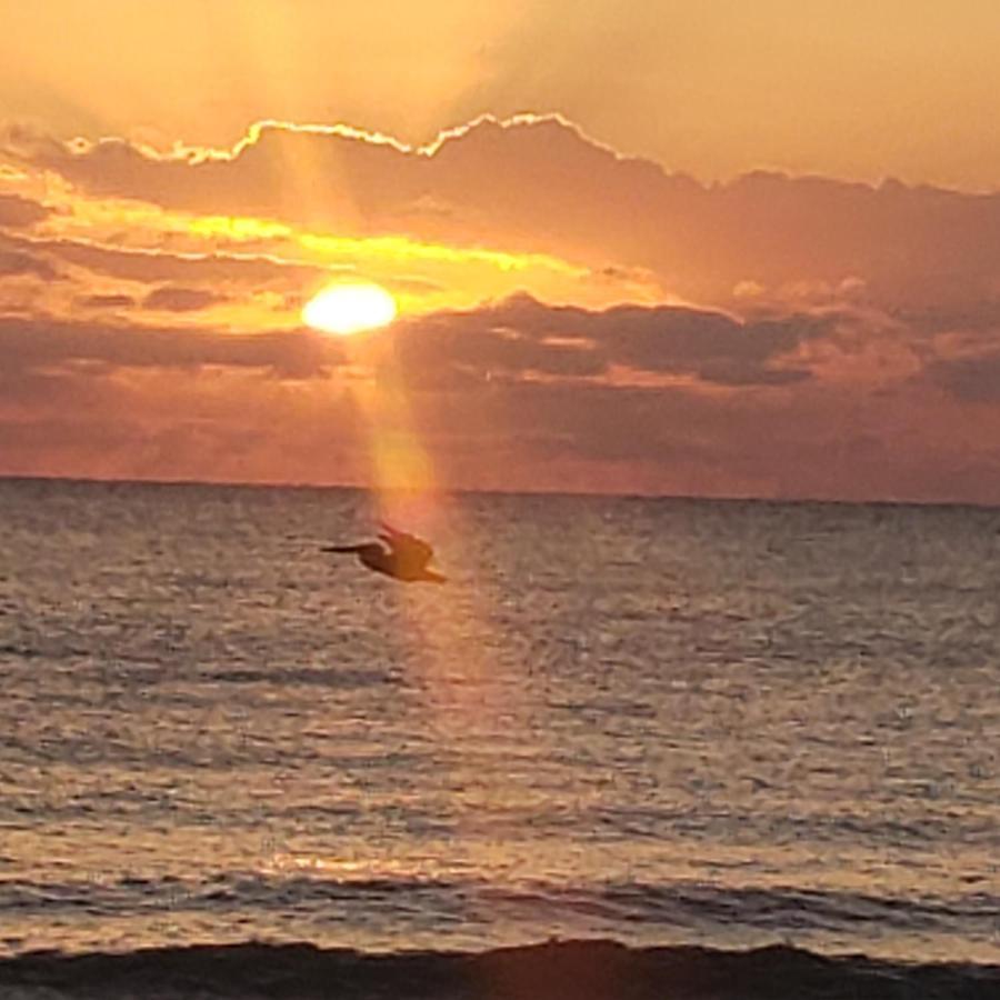 Pal'S On The Beach - Dangriga, Belize מראה חיצוני תמונה