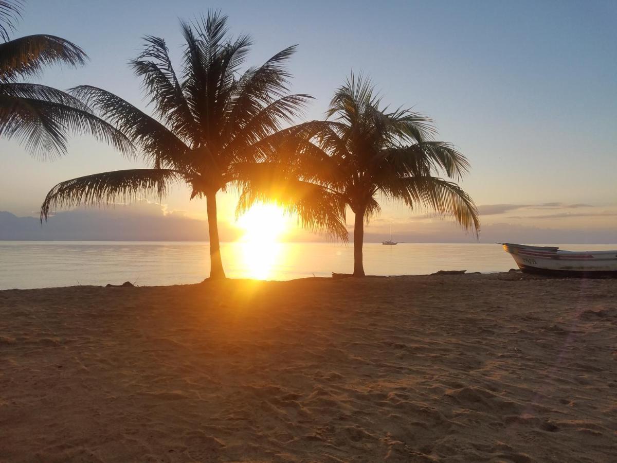 Pal'S On The Beach - Dangriga, Belize מראה חיצוני תמונה