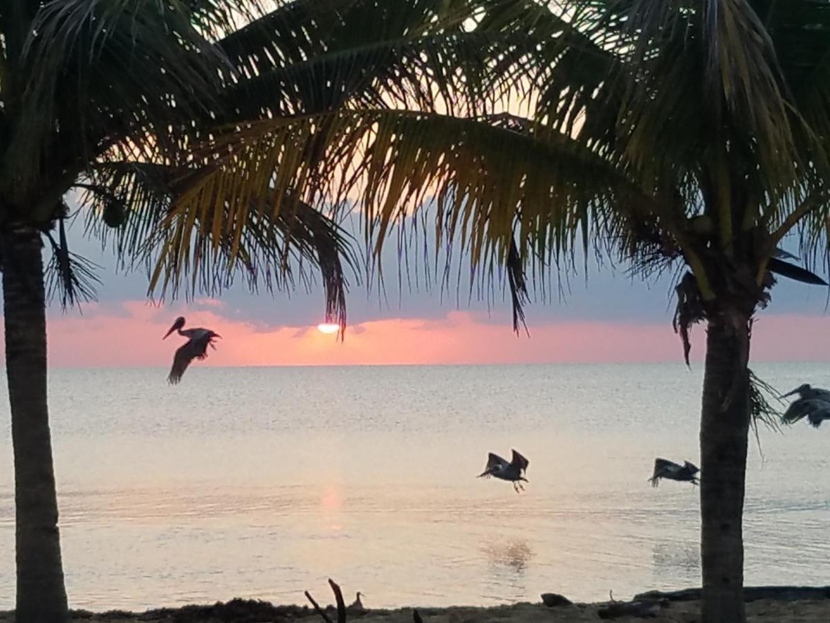 Pal'S On The Beach - Dangriga, Belize מראה חיצוני תמונה