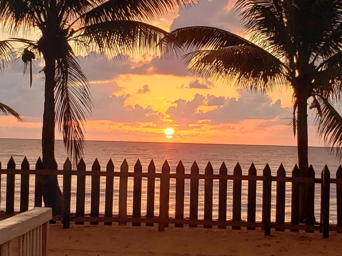Pal'S On The Beach - Dangriga, Belize מראה חיצוני תמונה