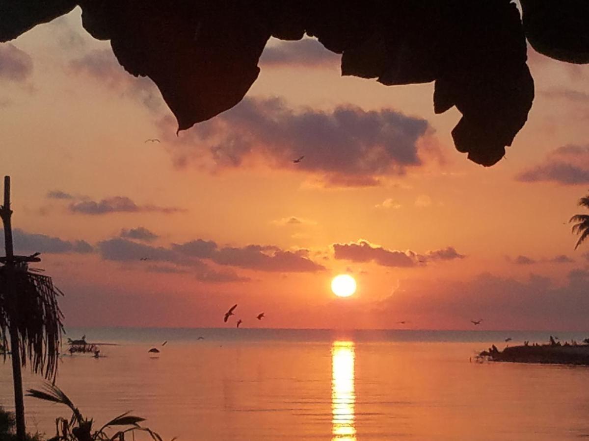 Pal'S On The Beach - Dangriga, Belize מראה חיצוני תמונה