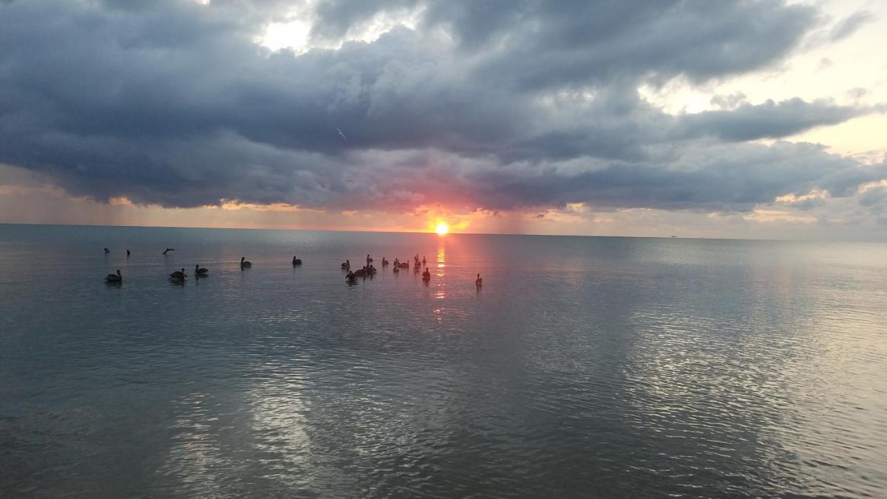 Pal'S On The Beach - Dangriga, Belize מראה חיצוני תמונה