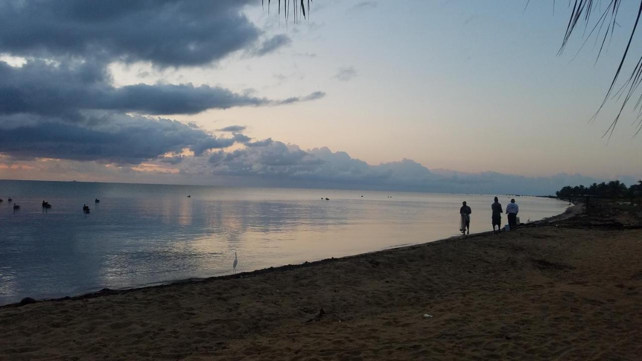 Pal'S On The Beach - Dangriga, Belize מראה חיצוני תמונה